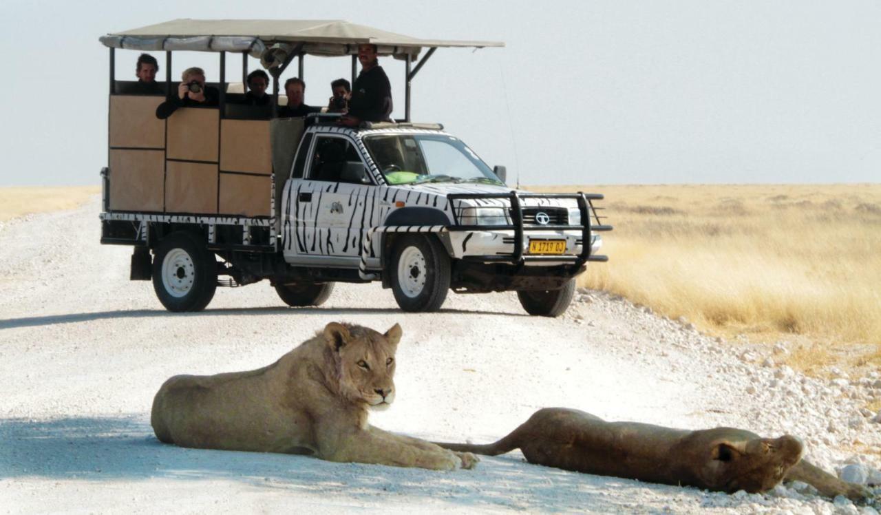 Gondwana Etosha Safari Lodge Okaukuejo Dış mekan fotoğraf